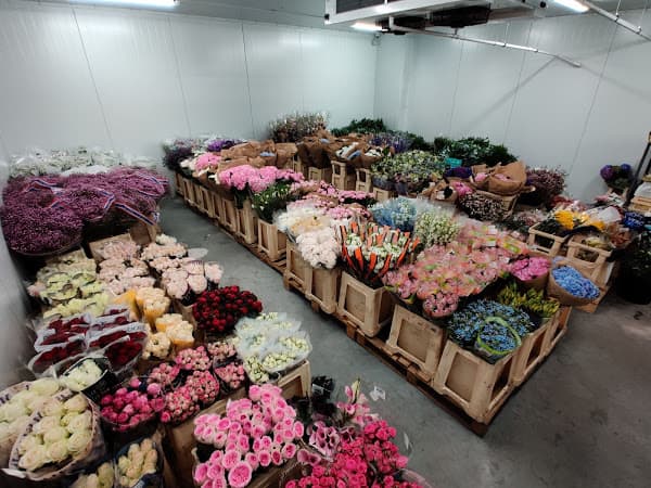 Floriste Opt - квіти з усього світу гуртом